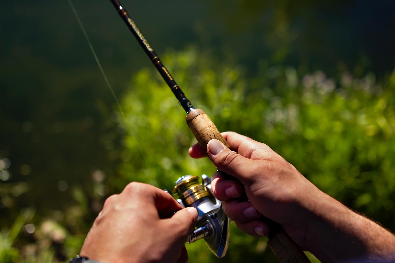 Tips On How To Use Fishing Rod For Beginners Fishing Tourism