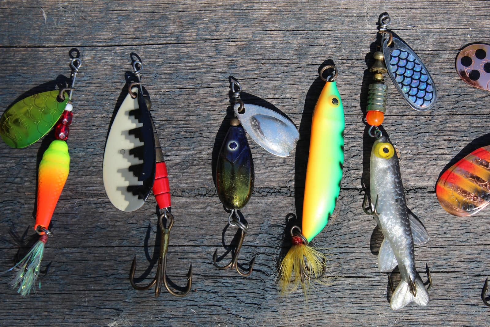 What Is a Spinnerbait? Fishing Tourism